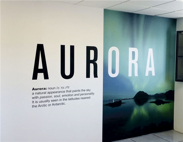 Vinilo para pared perfecto para remodelar cualquier espacio